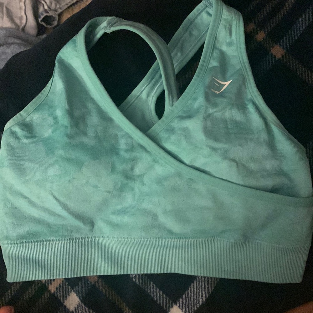 Aqua colored straps gym shark bralette.